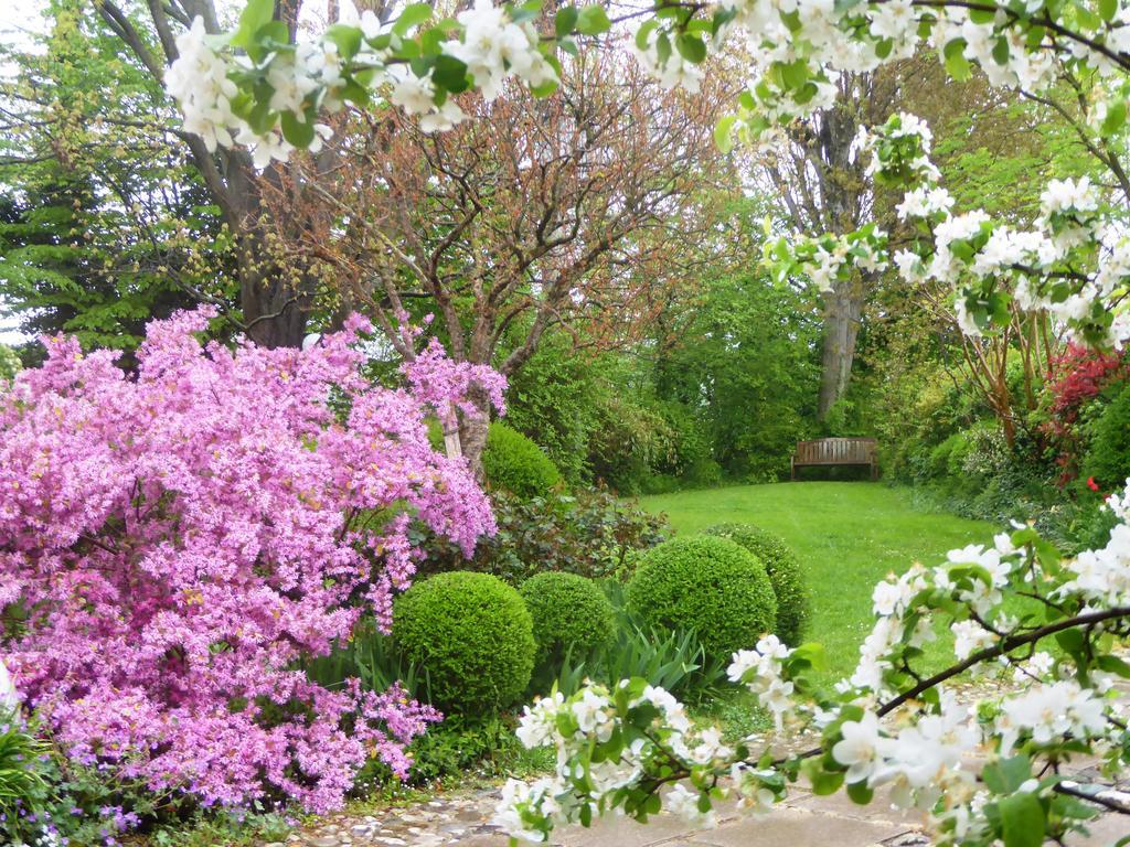 La Casa Del Giardiniere Villa Zero Branco Luaran gambar