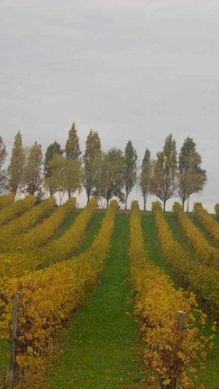 La Casa Del Giardiniere Villa Zero Branco Luaran gambar